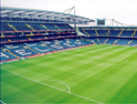 Chelsea FC: Greenberg joins team
